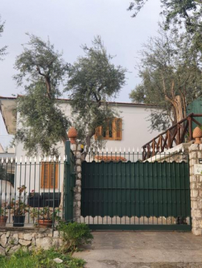 charlie's house